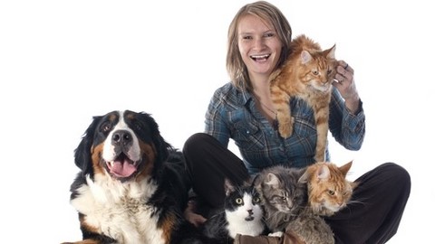 HEALTH FOR PET CAES E GATOS